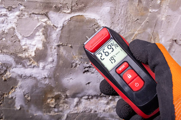 Best Local Mold Removal Service  in Rkville, PA