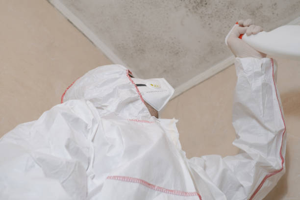 Best Mold Damage Repair  in Rkville, PA
